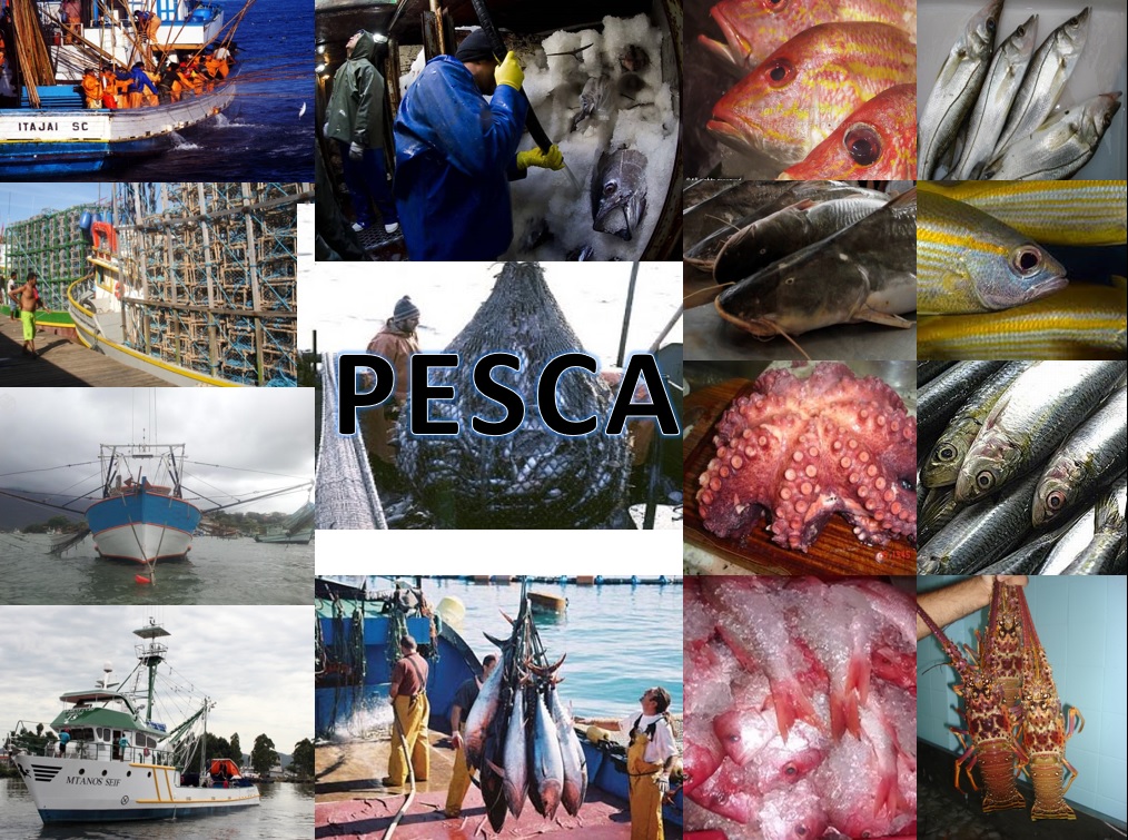 Pesca